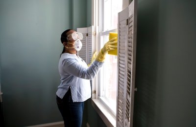 Cleaning professional